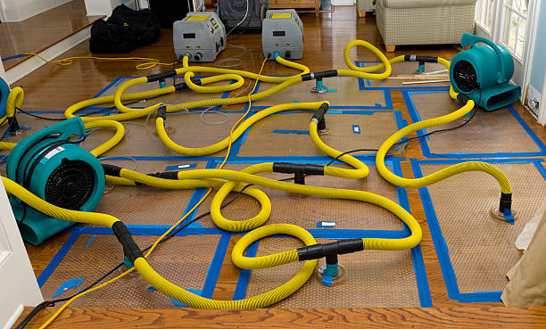 Professional Burst Pipe Water Damage technician working in Blue Hill, ME
